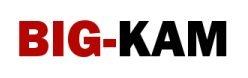 Big-Kam logo